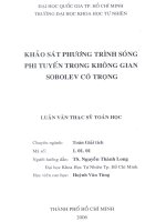 Khảo sát  phương trình sóng phi tuyến trong không gian Sobolev có trọng 1