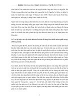 Nề kinh tế hàng hóa nhiều thành phần trong thời kì quá độ lên Chủ nghĩa xã hội ở Việt Nam