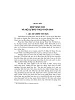 nhịp sinh học về hệ dự báo theo thời sinh