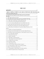 Hoàn thiện công tác kế toán tiêu thụ hàng Công ty thương mại dịch vụ Tràng Thi