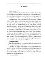 phát triển thị trường tiêu thụ sản phẩm của chi nhánh công ty Lelong Việt Nam tại Hà Nội