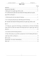 Xác định trách nhiệm bồi thường thiệt hại do nguồn nguy hiểm cao độ  gây ra