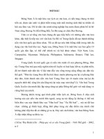 VỊ TRÍ CỦA ĐÔNG NAM Á VỚI SỰ TIẾP XÚC VĂN HÓA VỚI TRUNG HOA