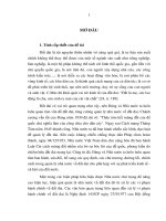 Vi phạm hành chính  về  đất đai ởThái Bình - thực trạng và giải pháp khắc phục