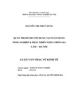 Quản trị rủi do tín dụng tại ngân hàng nông nghiệp và phát triển nông thôn Gia Lâm