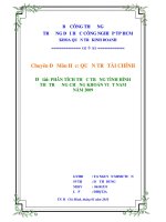 Phân tích thực trạng tình hình thị trường chứng khoán Việt Nam năm 2009