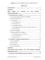 TÌNH HÌNH HOẠT ĐỘNG CỦA CHI NHÁNH VPBANK  KINH ĐÔ HÀ NỘI