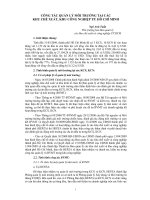 Công tác quản lý môi trường tại khu chế xuất khu công nghiệp TP HCM