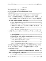 Giải pháp nâng cao hiệu quả sử dụng vốn tại công ty cổ phần Phát triển xây dựng và xuất nhập khẩu sông Hồng