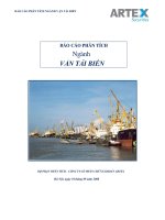 Báo cáo phân tích ngành vận tải biển