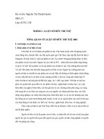 TỔNG QUAN VỀ LUẬT SỞ HỮU TRÍ TUỆ 2005