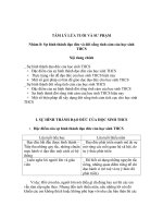 Quá trình hình thành đạo đức và đời sống tình cảm của học sinh THCS