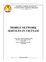 MOBILE NETWORK SERVICES IN VIETNAM