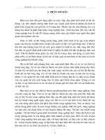 CÔNG NGHIỆP HÓA, HIỆN ĐẠI HÓA VÀ VAI TRÒ CỦA NÓ ĐỐI VỚI SỰ NGHIỆP XÂY DỰNG XÃ HỘI Ở NƯỚC TA HIỆN NAY