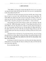 Thực trạng và giải pháp công nghiệp hóa - hiện đại hóa nông nghiệp, nông thôn ở nước ta hiện nay