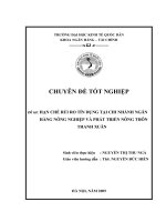 HẠN CHẾ RỦI RO TÍN DỤNG TẠI CHI NHÁNH NGÂN HÀNG NÔNG NGHIỆP VÀ PHÁT TRIỂN NÔNG THÔN  THANH XUÂN