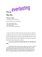 Xác định mục tiêu marketing sản phẩm Everlasting
