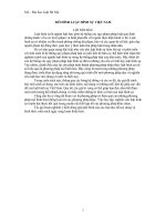 MÔ HÌNH LUẬT HÌNH SỰ VIỆT NAM