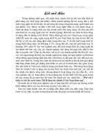 Một vài ý kiến về chế độ và kế toán tài sản cố định thuê tài chính ở Việt Nam hiện nay