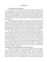 Đầu tư trực tiếp nước ngoài phục vụ công nghiệp hoá ở Malaixia – Kinh nghiệm đối với Việt Nam