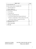 Kinh nghiem th giai toan 6 cua nhat(2010_2011)