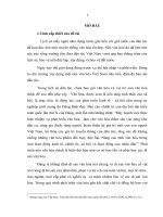 Luật di sản văn hóa- 2001