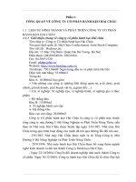 THỰC TRẠNG TỔ CHỨC KẾ TOÁN TẠI CÔNG TY CỔ PHẦN BÁNH KẸO HẢI CHÂU