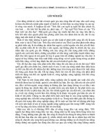 Phát triển làng nghệ truyền thống ở huyện Chương Mỹ - Hà Tây