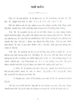 Nhóm con của nhóm tuyến tính tổng quát trên vành chính quy Von Neumann2_2