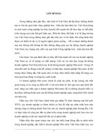 Tình hình đầu tư phát triển trong doanh nghiệp Nhà nước, Thực trạng và giải pháp