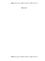 Hoàn thiện kế toán chi phí sản xuất và tính giá thành sản phẩm tại Công ty TNHH Nhà nước một thành viên Điện cơ Thống Nhất