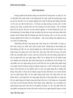 211 Ứng dụng chiến lược marketing ngân hàng vào việc phát triển sản phẩm tín dụng mới tại Ngân hàng đầu tư và phát triển (BIDV) Thăng Long 