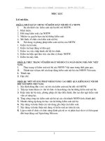 Một số giải pháp nhằm nâng cao hiệu quả kiểm soát nội bộ với NHHH Việt Nam