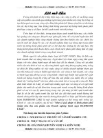 Một số giải pháp về kênh phân phối nhằm tiêu thụ sản phẩm của Doanh nghiệp bánh ngọt BAMBOOM CAKE