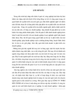 Tổng quan về công ty TNHH Sơn Chinh