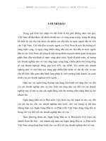 Giải pháp cho nhằm mở rộng cho vay đối với các doanh nghiệp nhỏ và vừa tại Ngân hàng Đầu tư và Phát triển Việt Nam chi nhánh Nam Hà Nội