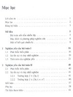 Nghiệm một số bài toán uốn tấm nhiều lớp 2