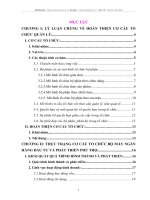 THỰC TRẠNG CƠ CẤU TỔ CHỨC BỘ MÁY NGÂN HÀNG ĐẦU TƯ VÀ PHÁT TRIỂN PHÚ THỌ