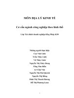 Cơ cấu ngành công nghiệp theo lãnh thổ