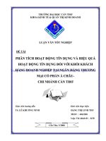 PHÂN TÍCH THHĐ TÍN DỤNG VÀ HIỆU QUẢ HĐTD ĐỐI VƠI KHÁCH HÀNG