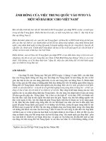 ảnh hưởng của việc Trung Quốc vào WTO và bài học cho Việt Nam