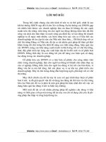 Lý luận chung về vấn đề cổ phần hóa doanh nghiệp - giải pháp nâng cao hiệu quả sử dụng lao động trong các doanh nghiệp nhà nước hiện nay