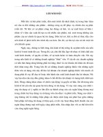 Chât lượng tín dụng ngân hàng thương mại