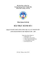 TỔ CHỨC PHÂN CÔNG CÔNG VIỆC CỦA CÁC THÀNH VIÊN UBND THÀNH PHỐ HÀ NỘI NHIỆM KỲ 2004 – 2009