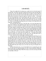 vận dụng phương pháp thống kê nghiên cứu ảnh hưởng của mức sinh, mức chết đến phát triển ở Việt Nam