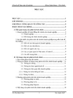 “ Giải pháp hoàn thiện công tác phân tích tài chính tại Công ty Thương mại dịch vụ Tràng Thi “