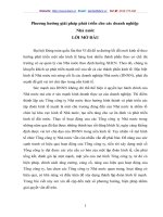 Phương hướng giải pháp phát triển cho các doanh nghiệp