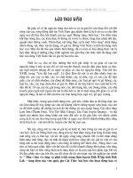 Đầu tư bảo vệ rừng và phát triển nông thôn huyện Đak R' lấp tỉnh Đăk Lăk