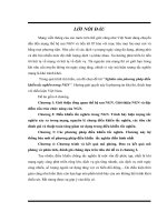 MẠNG NỘI HẠT VÔ TUYẾN WLAN