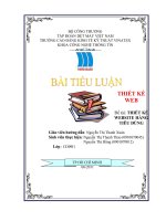 : THIẾT KẾ WEBSITE HÀNG TIÊU DÙNG